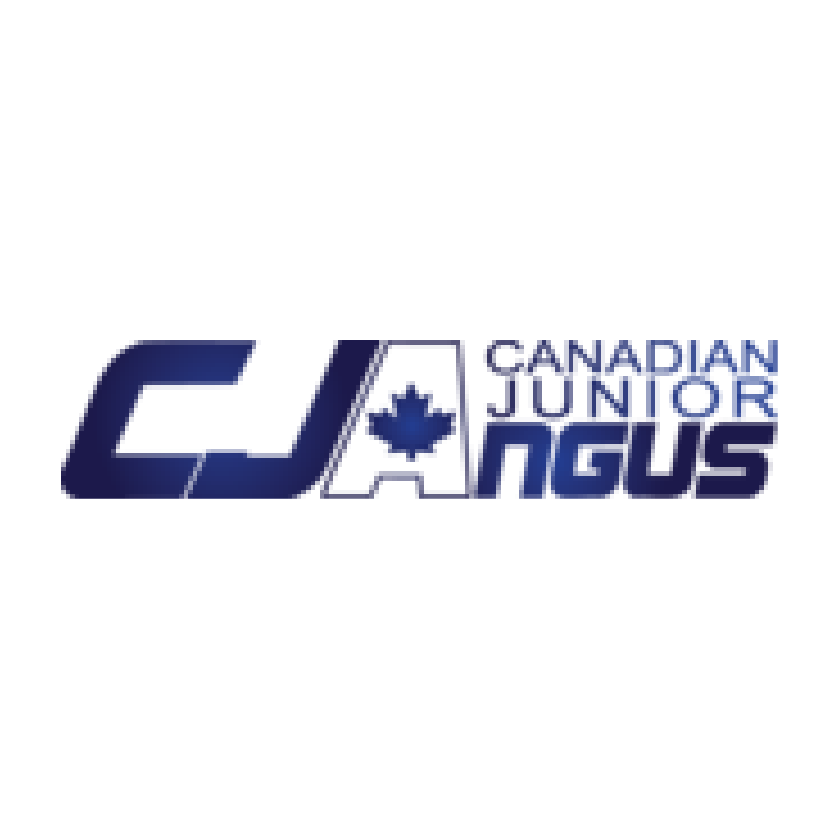 Canadian Junior Angus